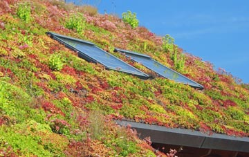 Chapel House living roof systems